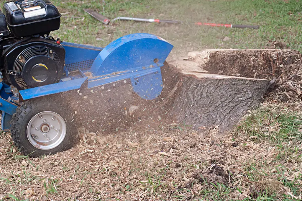 tree removal service in collinsville il