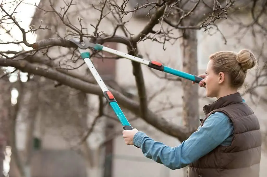 tree trimming troy il