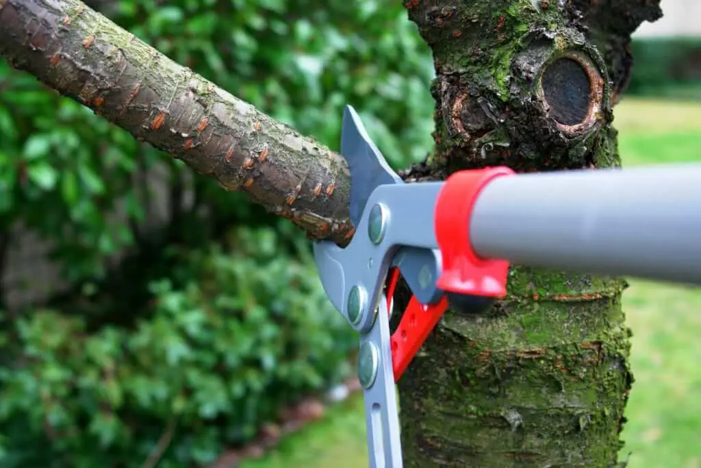 tree trimming edwardsville il