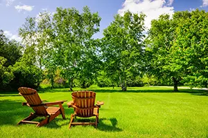 Tree Maintenance