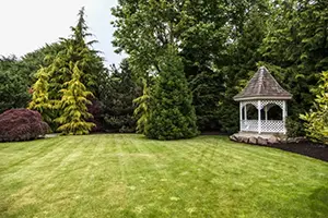 pine tree trimming and landscaping collinsville il