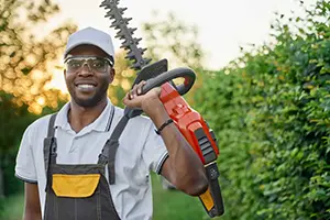 tree trimming professionals waterloo il