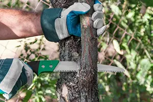 tree trimming service edwardsville il