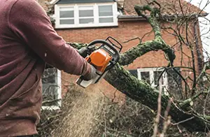 tree trimming services belleville il