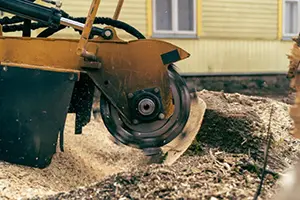 stump removal service belleville il