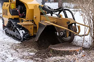 stump grinding belleville il