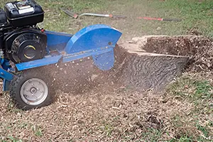 stump grinding service belleville il