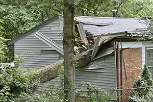 fallen tree home damage edwardsville il