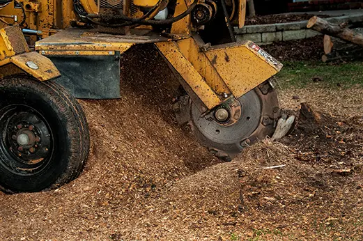 stump grinding & removal metro east