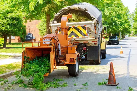 tree removal metro east