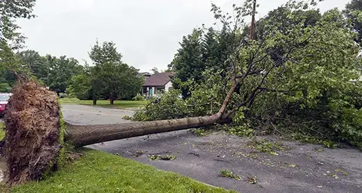 storm damage clean up metro east