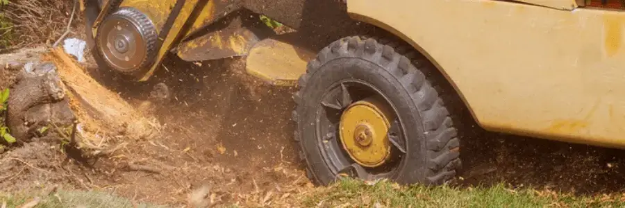 stump grinding & removal cahokia il