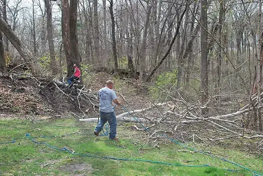 qualified tree professionals cahokia il