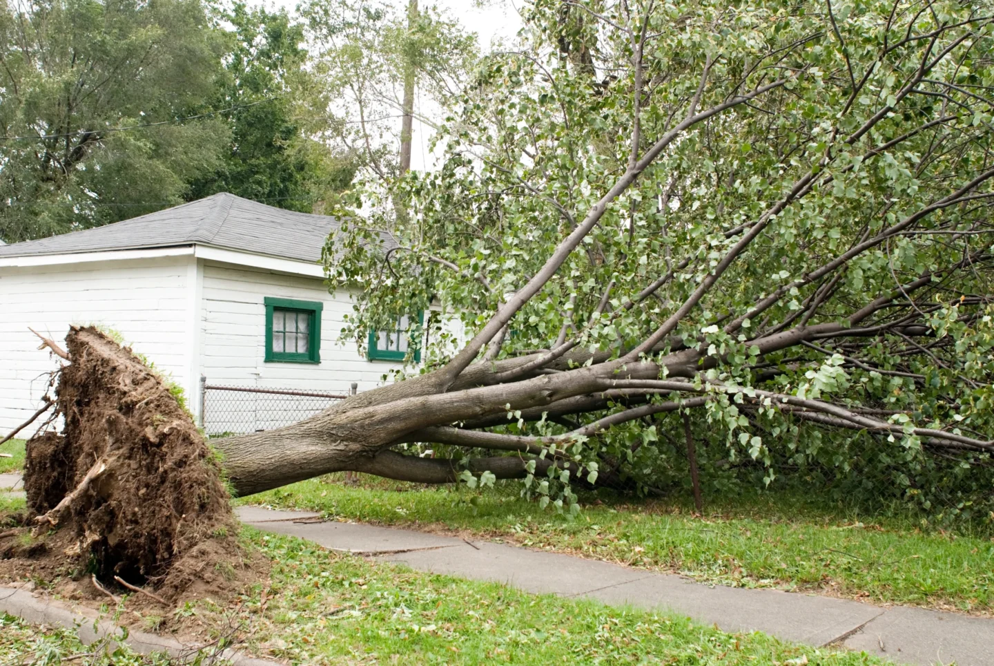 storm damage cleanup Belleville, IL
