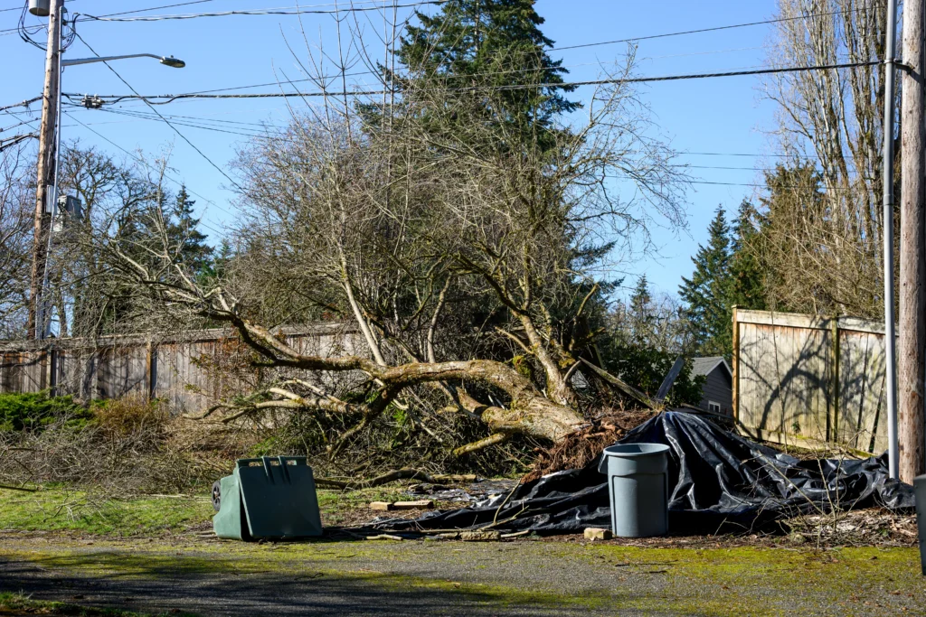 why you need to hire a professional for storm damage clean up Belleville, IL