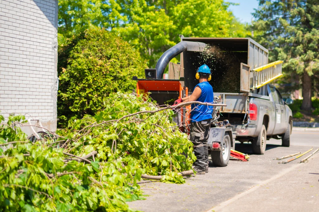 Columbia, IL how to hire a Tree Removal Company