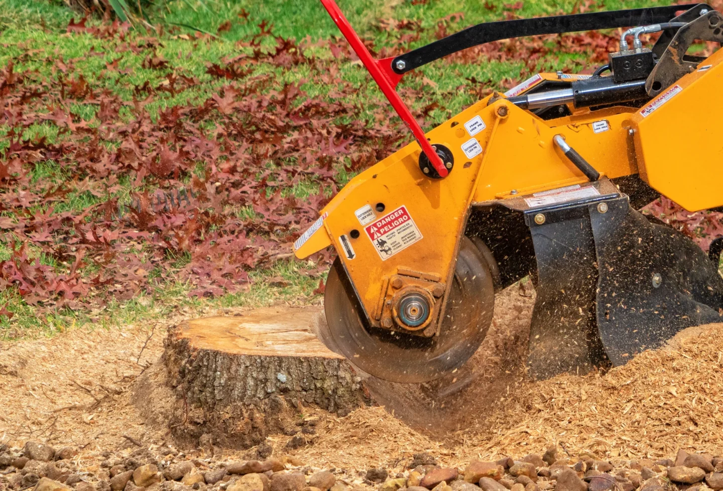 stump grinding or stump removal Collinsville, IL