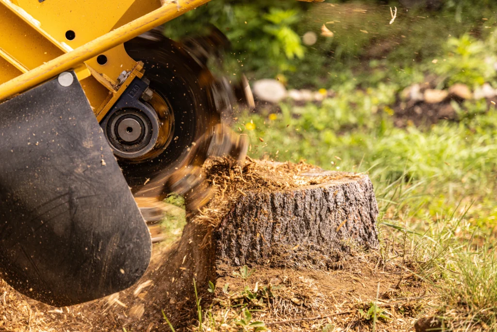 stump grinding Collinsville, IL
